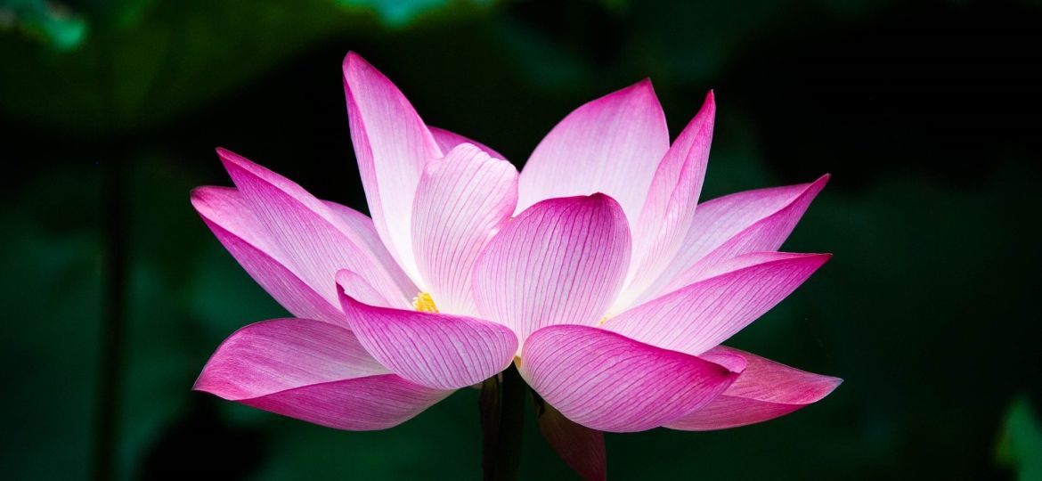 corso di meditazione gaggiano